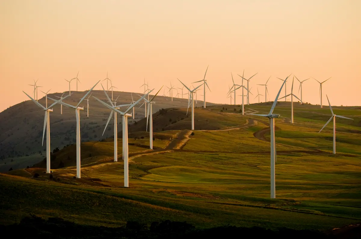 L’environnement relégué au second plan en 2025 ? 